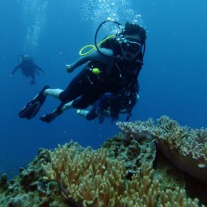 PADI Open Water Diver - Big Ocean Dive