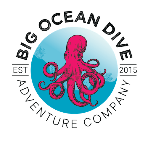 Big Ocean Dive