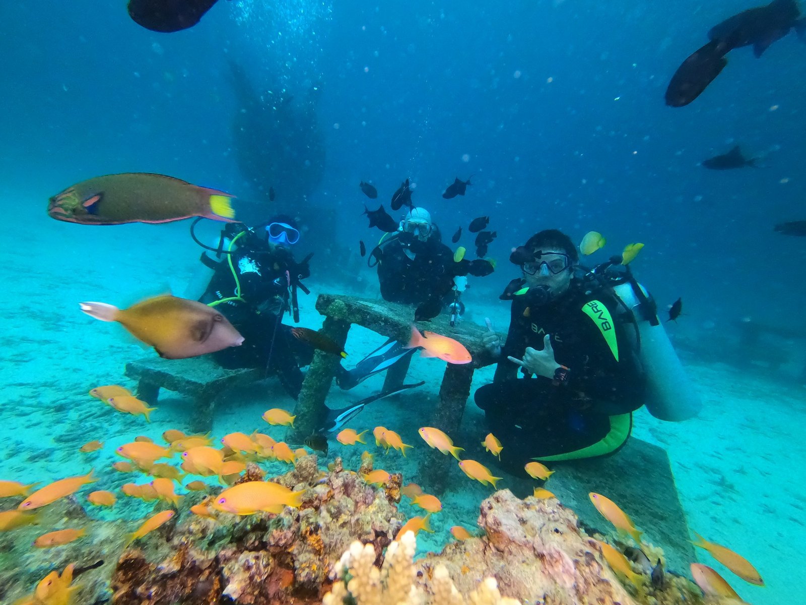 Big Ocean Dive